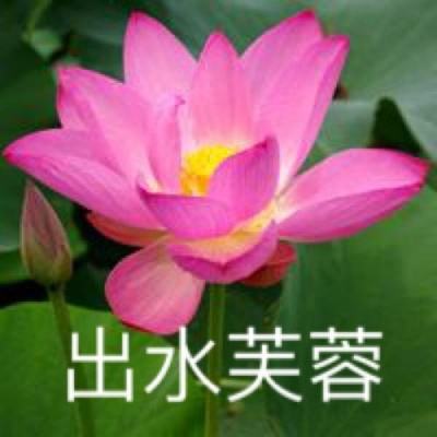 圣域浩劫腾讯版下载